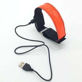 Luminous running arm belt (Option: Orange-USB)