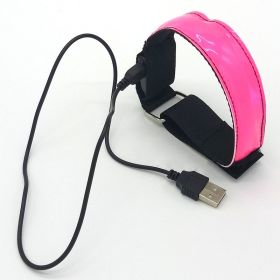 Luminous running arm belt (Option: Pink-USB)